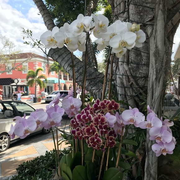 Meet your Posher, Edita - Picture 1 of 1